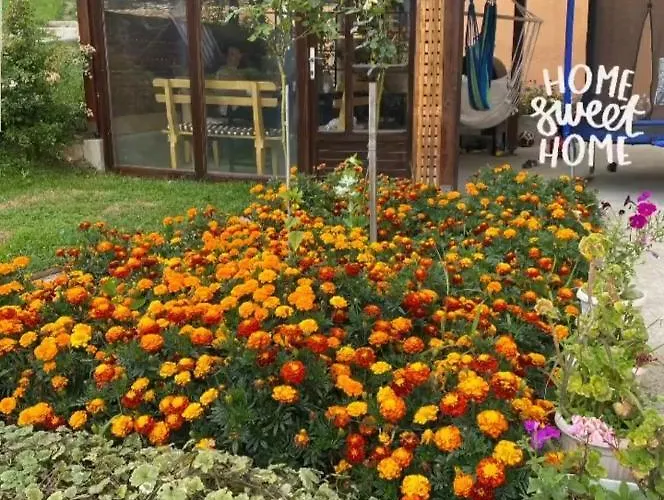 Guest House Visoko
